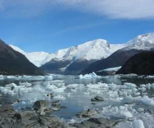 пазл Ледник Onelli, Аргентина
